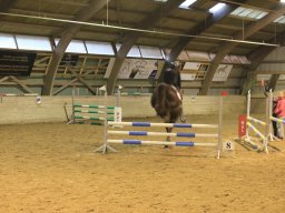 2014 Adventsstævne SAR